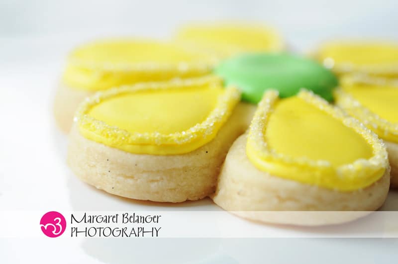 Yellow flower made by Iced, A Cookie Company, Boston
