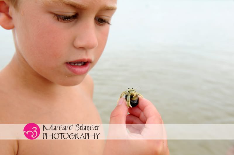 Boy holding hermit crab, Cape Cod family session