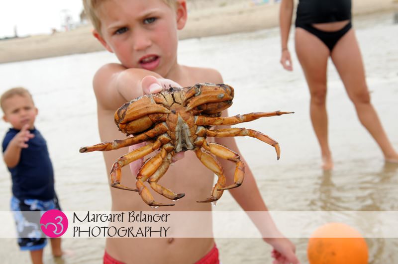 Boy holding crab, Cape Cod family and maternity session