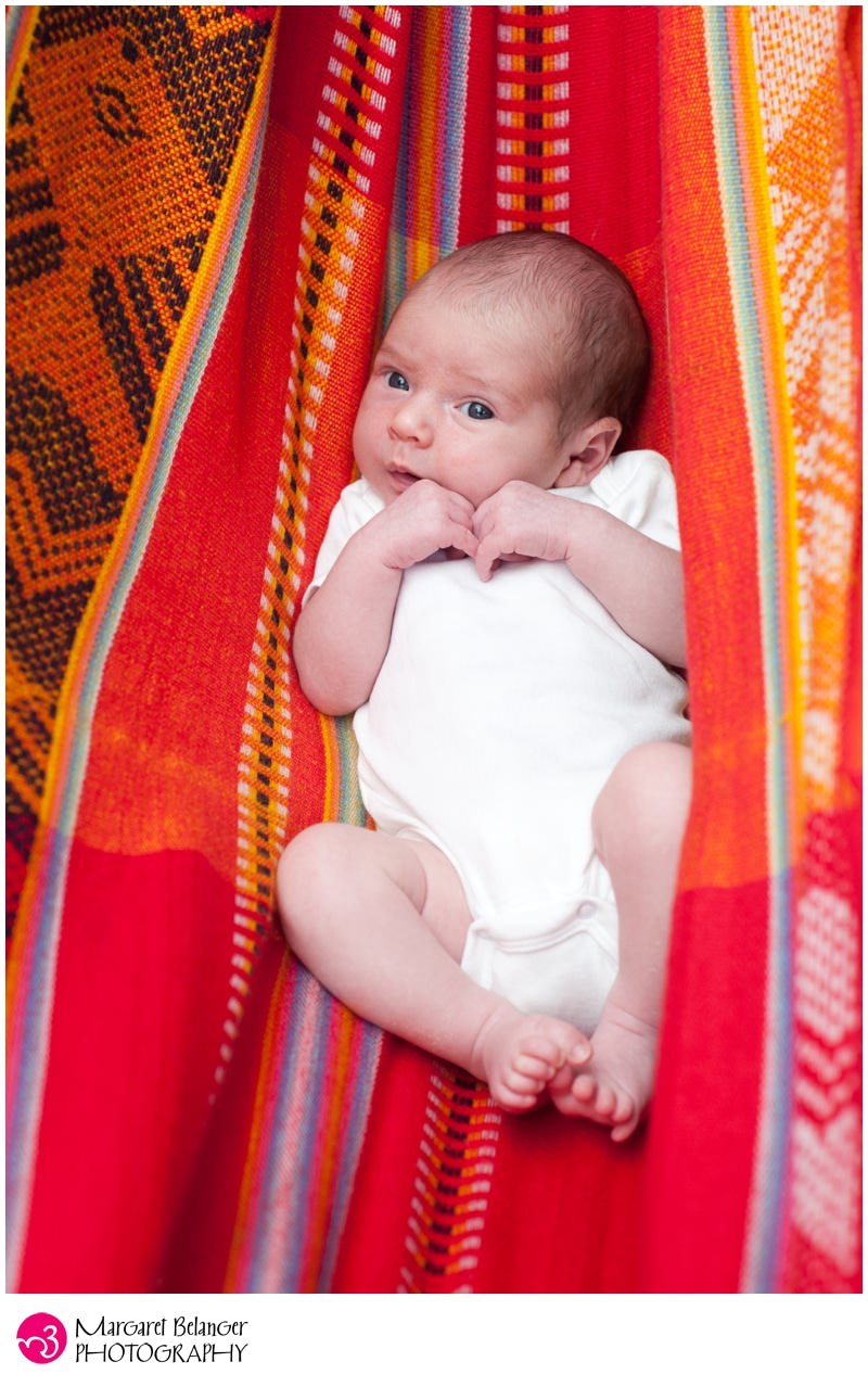Baby C in a hammock, Boston newborn session