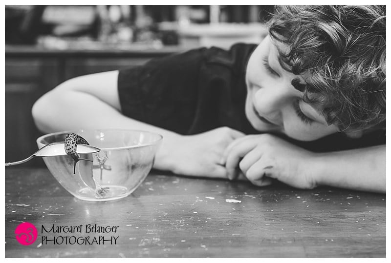 Winchester-family-session-170620_04