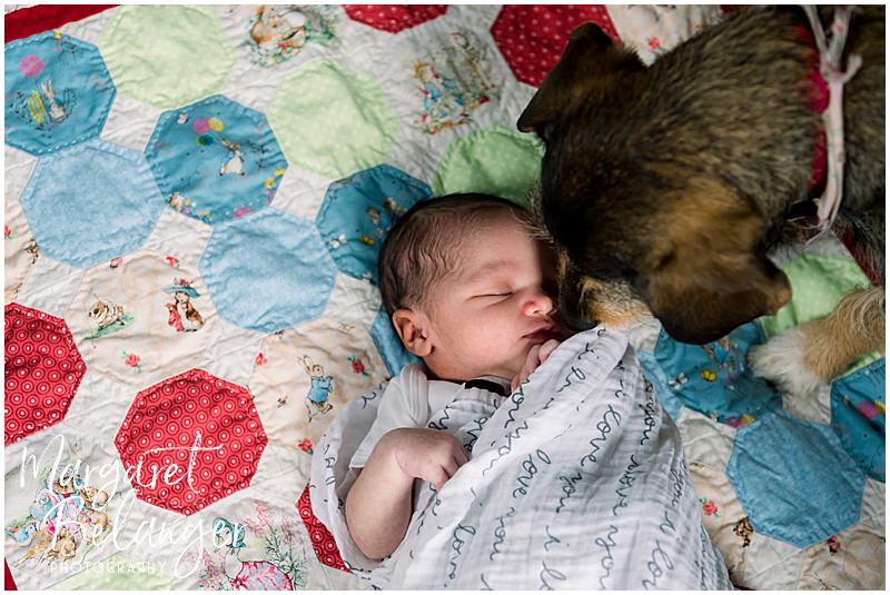 Newborn baby boy asleep on a colorful quilt while a dog sniffs him