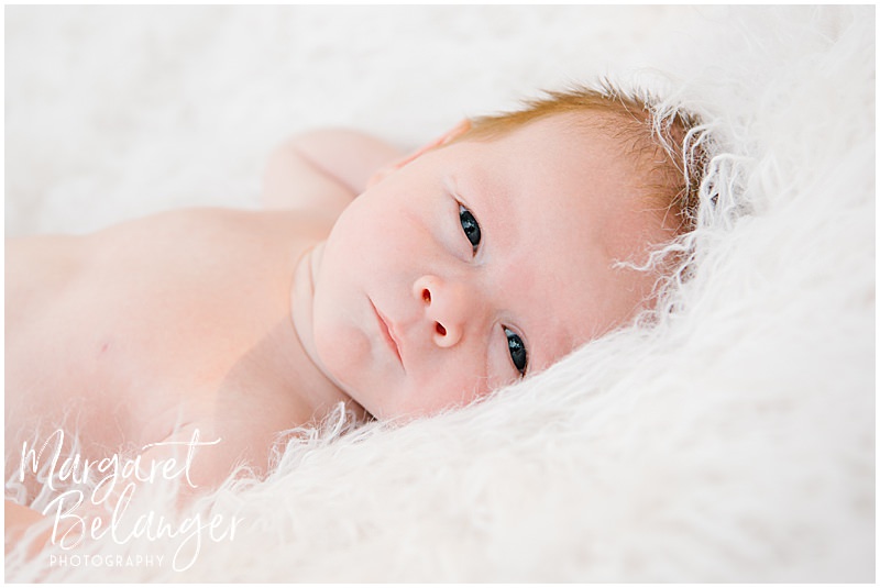 Margaret Belanger Photography | Winchester Backyard Newborn Session, Baby Q