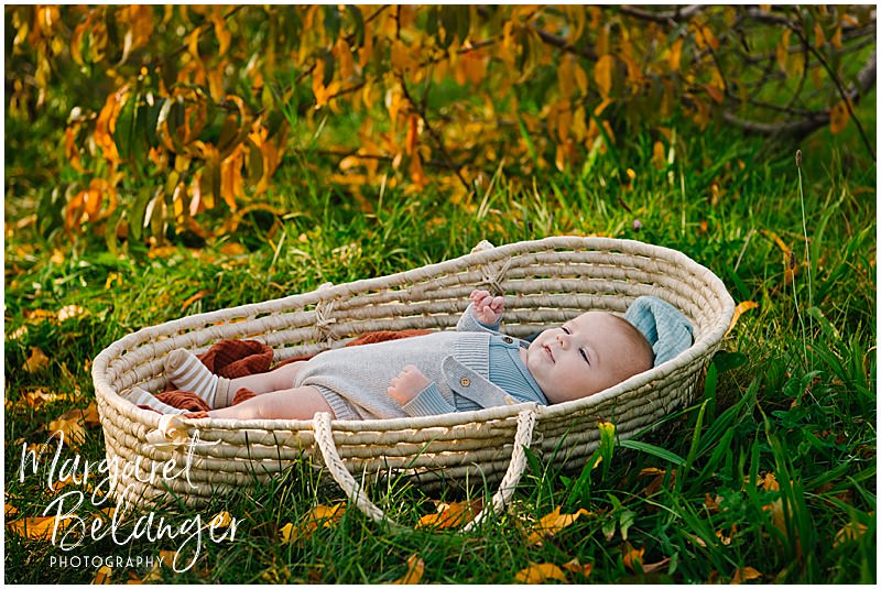 Baby boy in a moses basket in an orchard, Boston Hill Farm, Andover