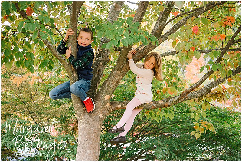 Two little kids sitting in a tree during their Winchester Center fall family session