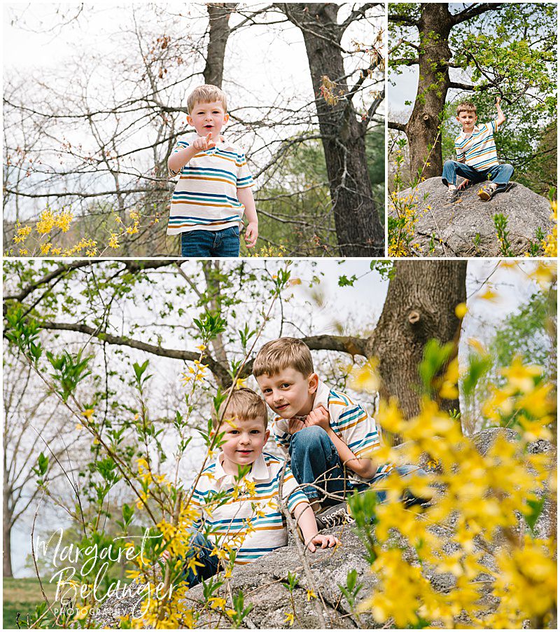 Two boys pose on a rock among the yellow blooms during their Minute National Park photo session in Concord.