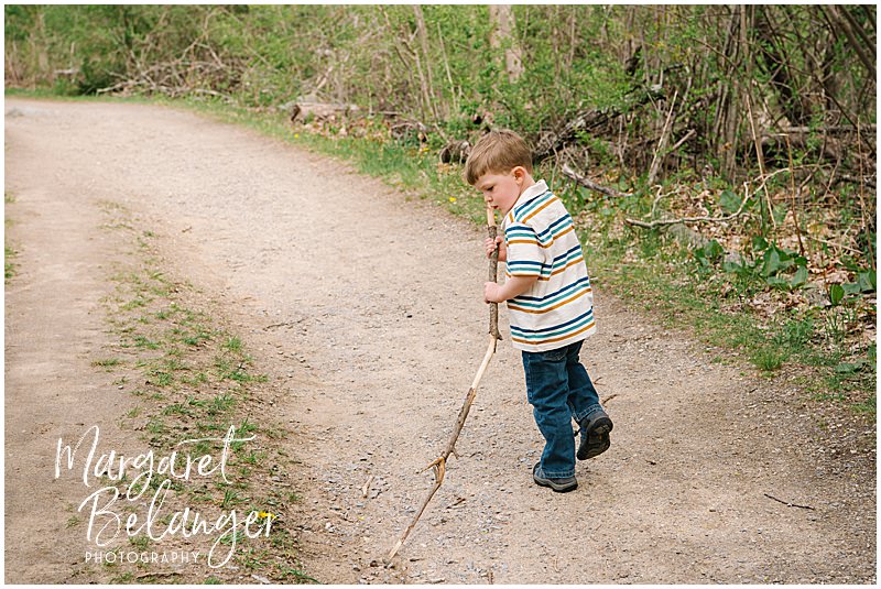 A little boy walks on a dirt trail dragging a big stick during a Minute Man National Park spring family session in Concord.