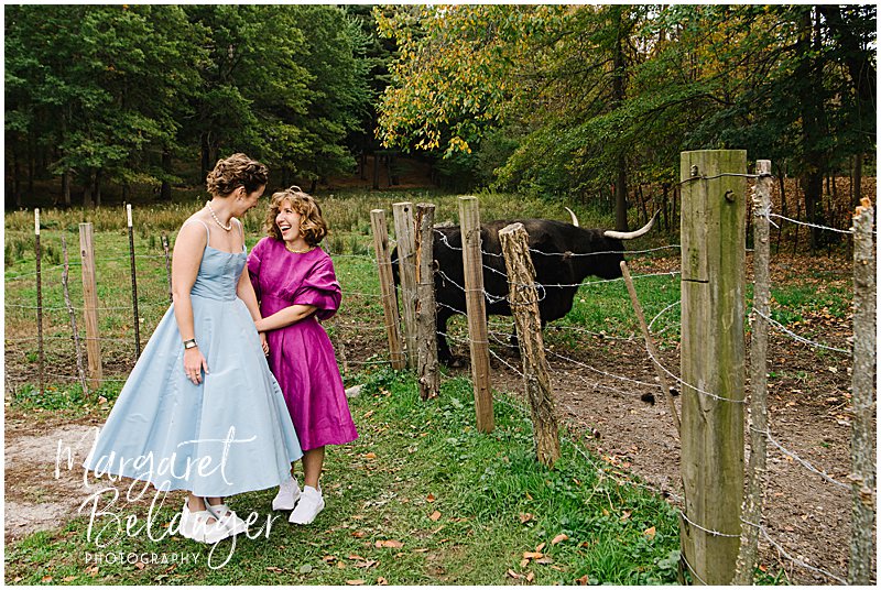 Brides pose next to cattle at Allandale Farm